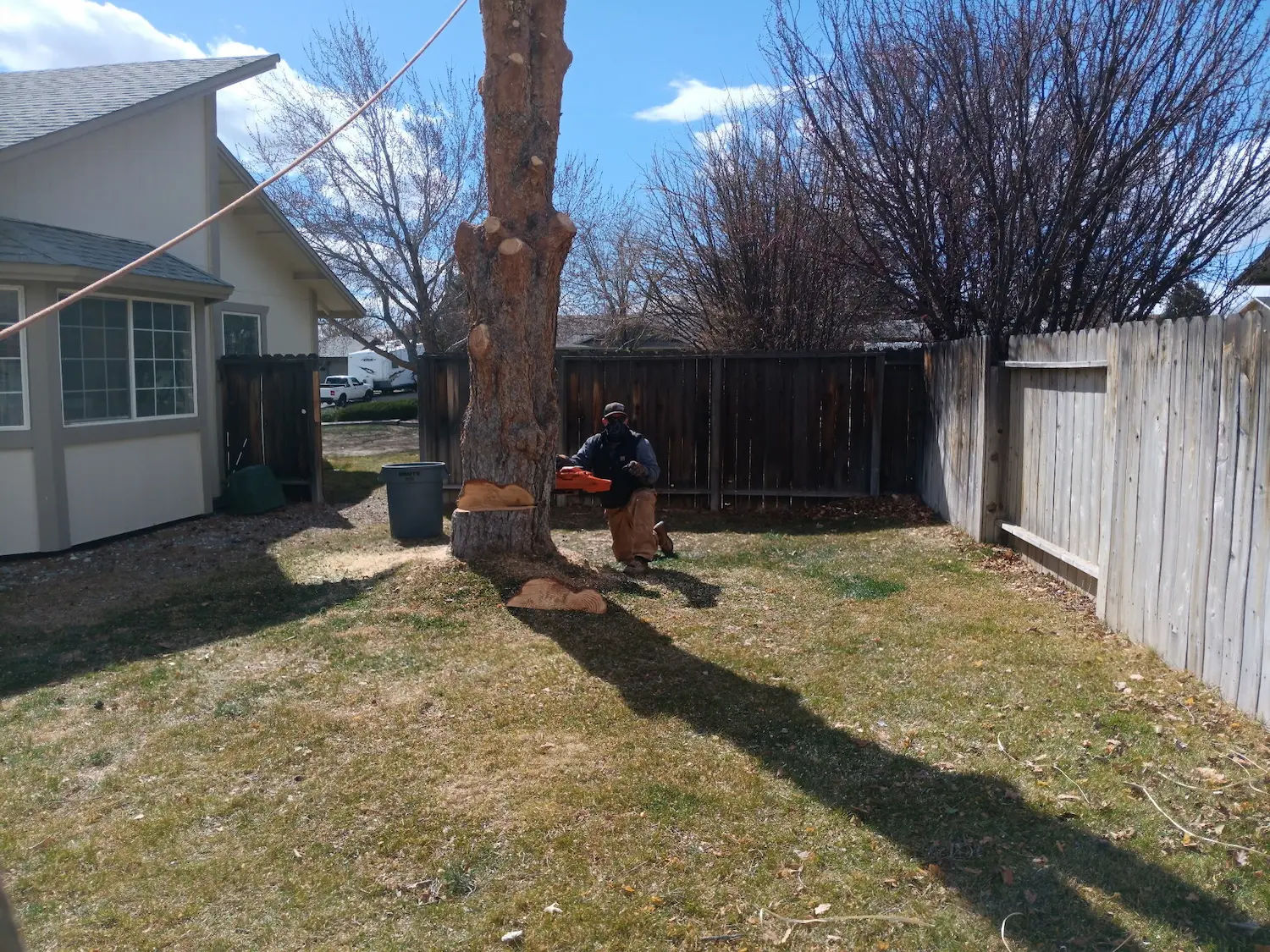 Tree Master Reno